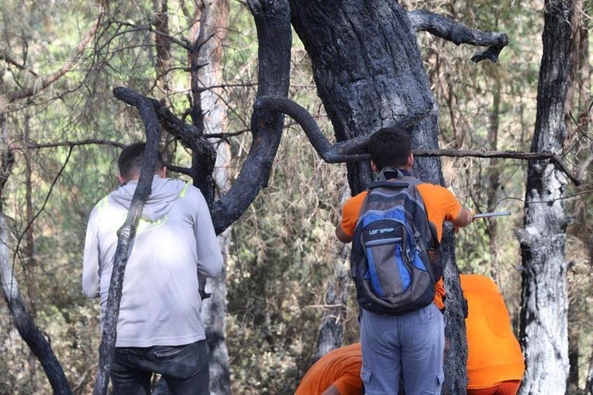 Adana'da tek tek damgalama dönemi başladı: Binlerce kişi etkilenecek