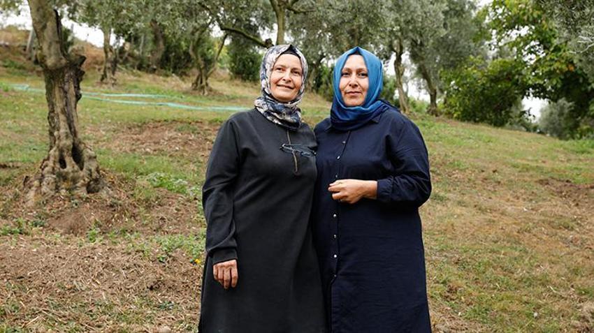 İstanbul'u bırakıp Samsun'a döndüler, 40 yıllık mirasa sahip çıktılar: İlk senede 2 ton ürün verim aldılar