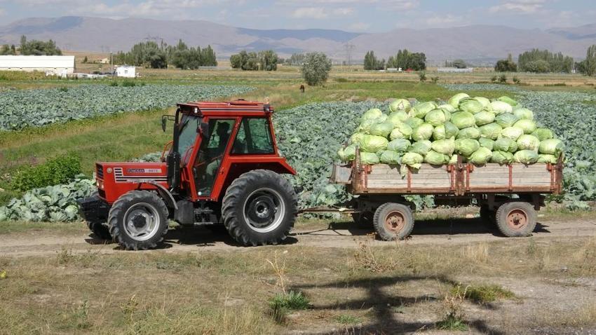 Hiçbir yerde bulunmuyor! Erzurum'dan tırlarla 81 ile gönderiliyor, talep yağıyor