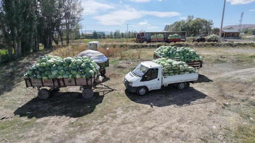 Hiçbir yerde bulunmuyor! Erzurum'dan tırlarla 81 ile gönderiliyor, talep yağıyor