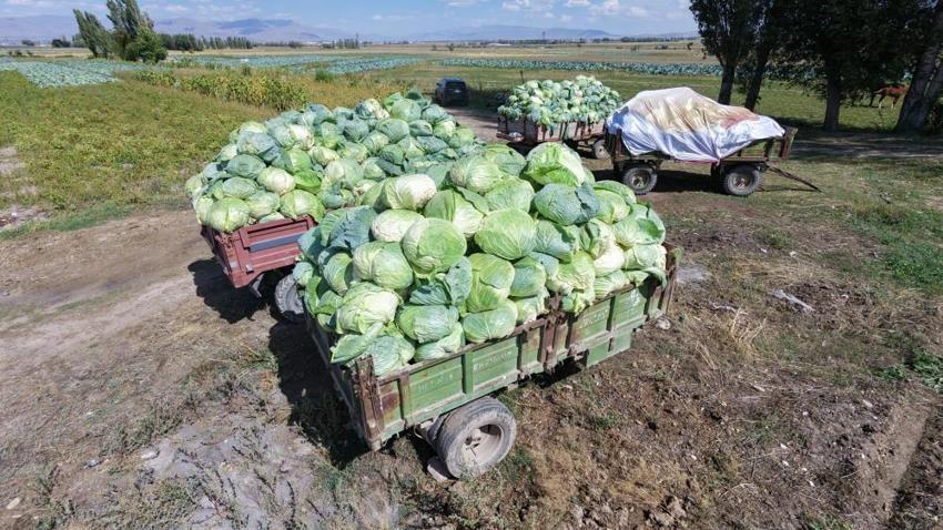 Hiçbir yerde bulunmuyor! Erzurum'dan tırlarla 81 ile gönderiliyor, talep yağıyor
