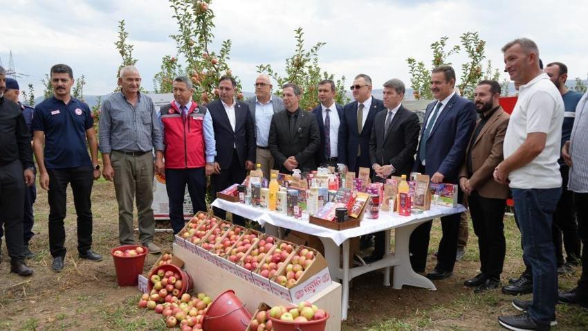 Amasya'da 2 bin önce ne yeniyorsa bugün de o toplanıyor: Roma imparatorları tadıp bitiremedi, tadı hiç değişmedi!