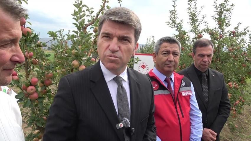 Amasya'da 2 bin önce ne yeniyorsa bugün de o toplanıyor: Roma imparatorları tadıp bitiremedi, tadı hiç değişmedi!