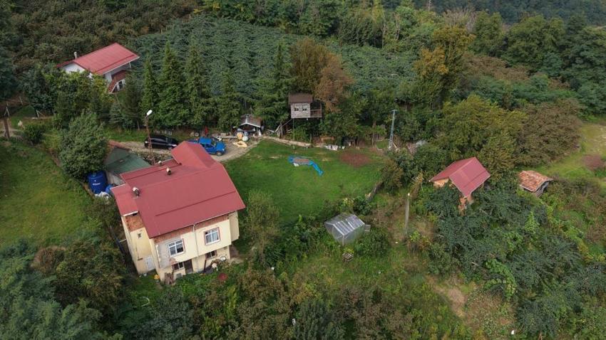 Torunu istedi diye ağacın tepesine ev yaptı: Kanada ve Yeni Zelanda'dan görmeye gelenler var!