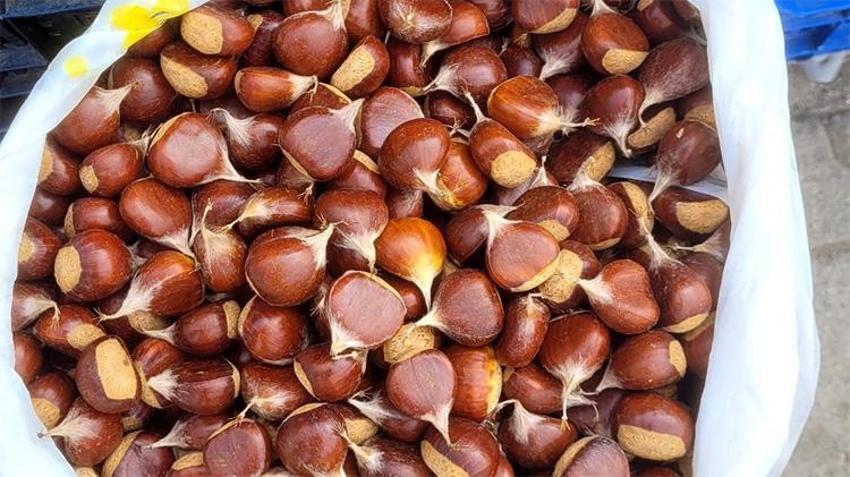 Kestanenin kilosu kaç lira? Doğal şifa deposu tezgaha indi, vücutta mucize yaratıyor! Tam bir B1 ve B2 vitamini deposu