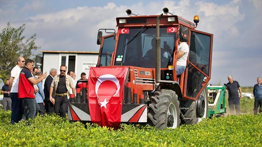 Osmaniye'de 'altın sarımsı' hasat başladı: 50 bin tonluk rekolte 5 milyar lira kazandıracak!
