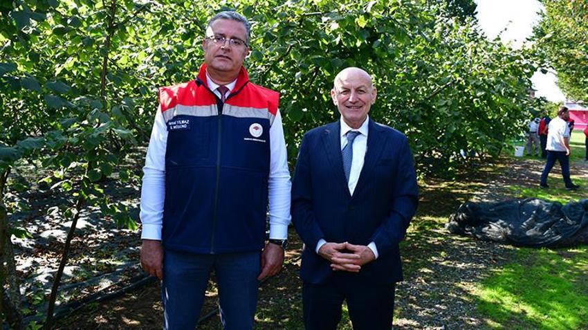 Samsun’da fındık hasadında yeni dönem! İşçilik maliyetini yüzde 70 azaltıyor