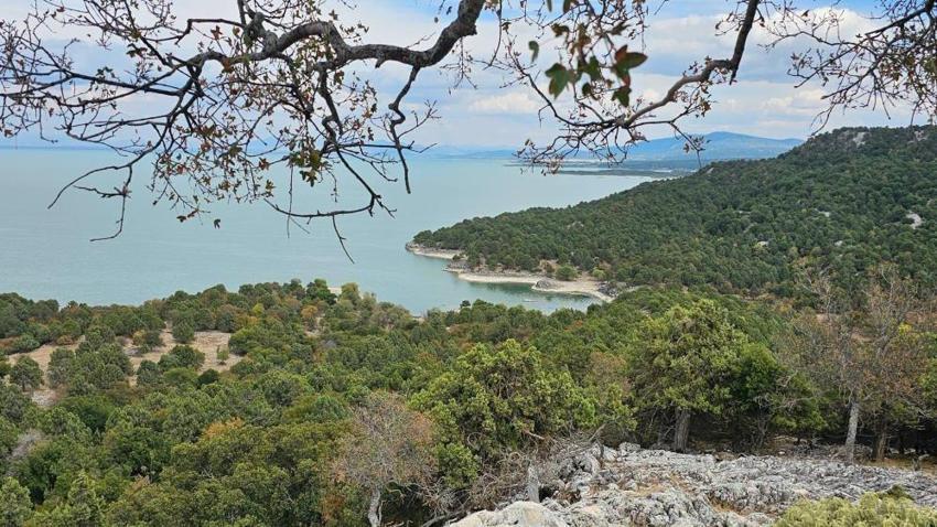 Beyşehir Gölü'nün saklı cenneti keşfedildi: 2 bin 650 dekarlık gizemli ada ziyaretçilerini bekliyor!