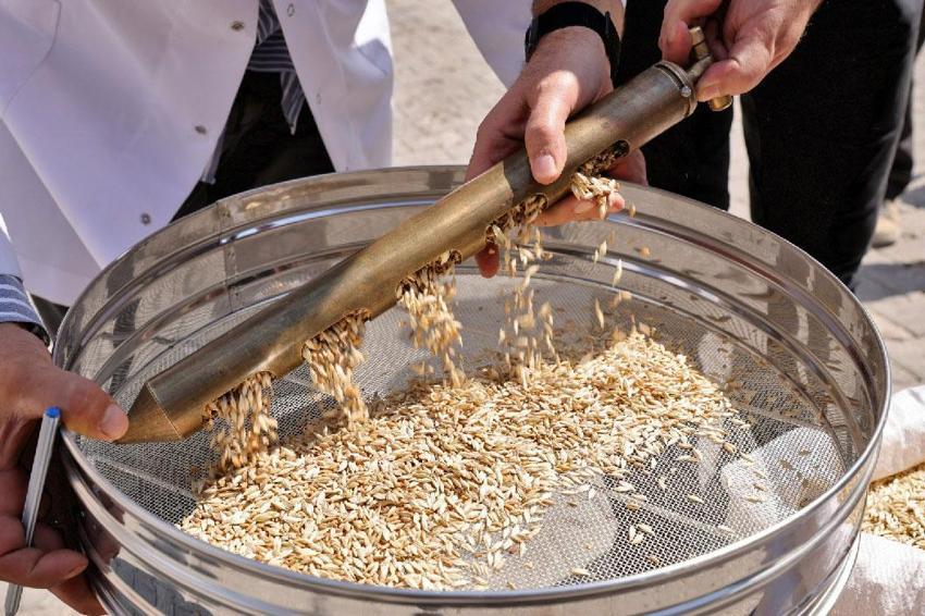 Bursa'da üretilen siyez buğday ekmeği tüketiciden tam not aldı! Piyasada 400 gramı 120-150 TL arasında, 55 TL'ye satılıyor