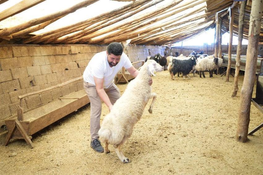 Muş'un eşsiz yöresel lezzeti büryanın sırrı açıklandı!