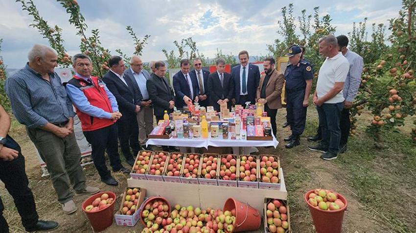 Amasya’nın altın değerindeki ürünü hasat ediliyor! Bu yıl çiftçinin yüzü gülecek