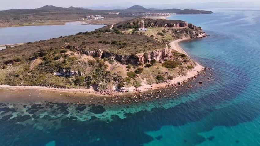 Ayvalık'ta kum zambaklarına özel koruma: Badavut Sahili'nde ahşap kafesli önlem!