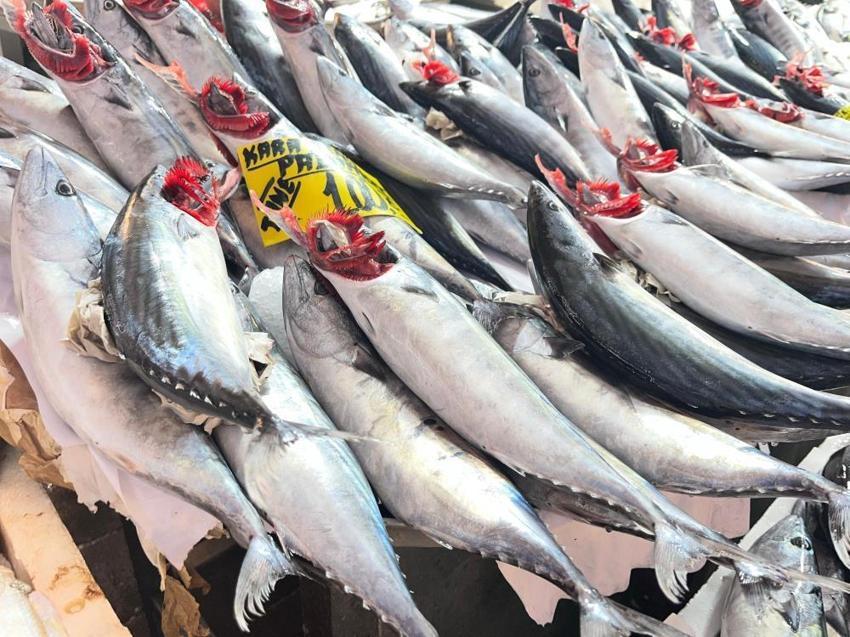 Kırmızı ete alternatif arayanlar akın etti! Tanesi 100 liradan kapış kapış gidiyor