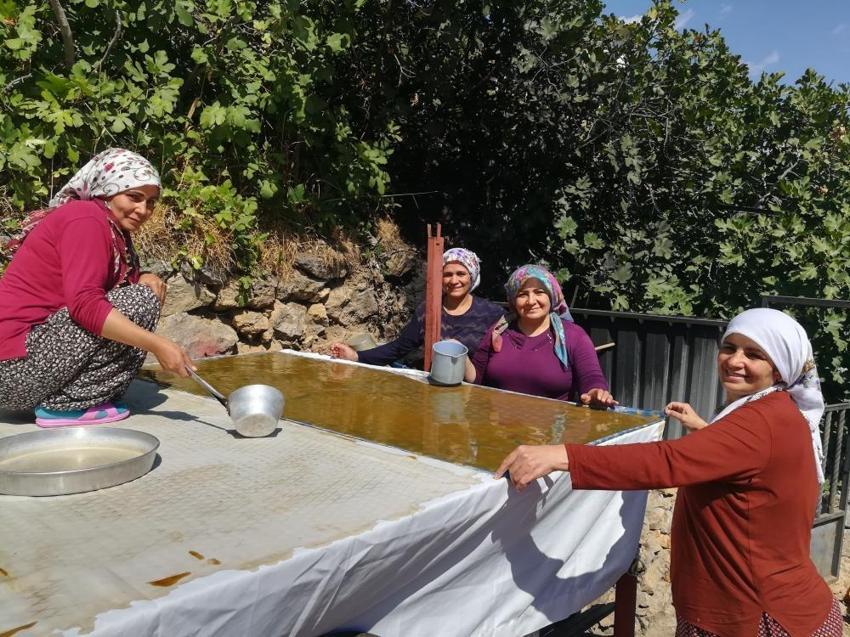 Erzincan Kemaliye'de geleneksel dut hasadı sürüyor: Yöre kadınları imece usulüyle pestil ve pekmez üretimi yapıyor!