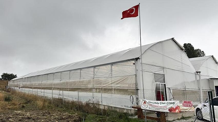 25 yıllık arkadaşlar kafa kafaya verdi topraksız tarımla üretime başladı: Yıllık 15 ton ürün elde etmeye başladı