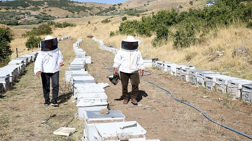 Muşlu çift evlendikleri yıl 30 kovanla başladı: 40 yılda 600 kovana ulaştılar