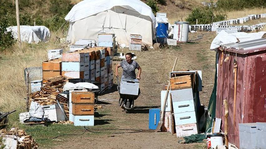 Muşlu çift evlendikleri yıl 30 kovanla başladı: 40 yılda 600 kovana ulaştılar