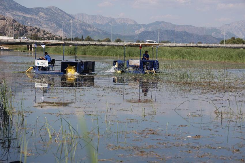 Antalya'da tartışılan görüntüye uzmanlardan 'Kirlilik değil, yaşam alanı' açıklaması: Boğaçayı'ndan 320 ton sucul ot ile yaklaşık 4 ton fiziksel atık toplandı