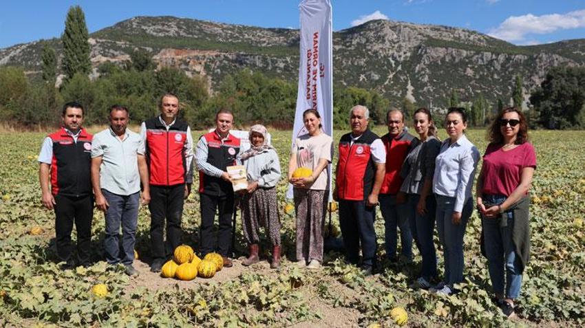 Karabağlar yaylasında Ata tohumlarından yetiştirilen asırlık lezzetin hasat zamanı