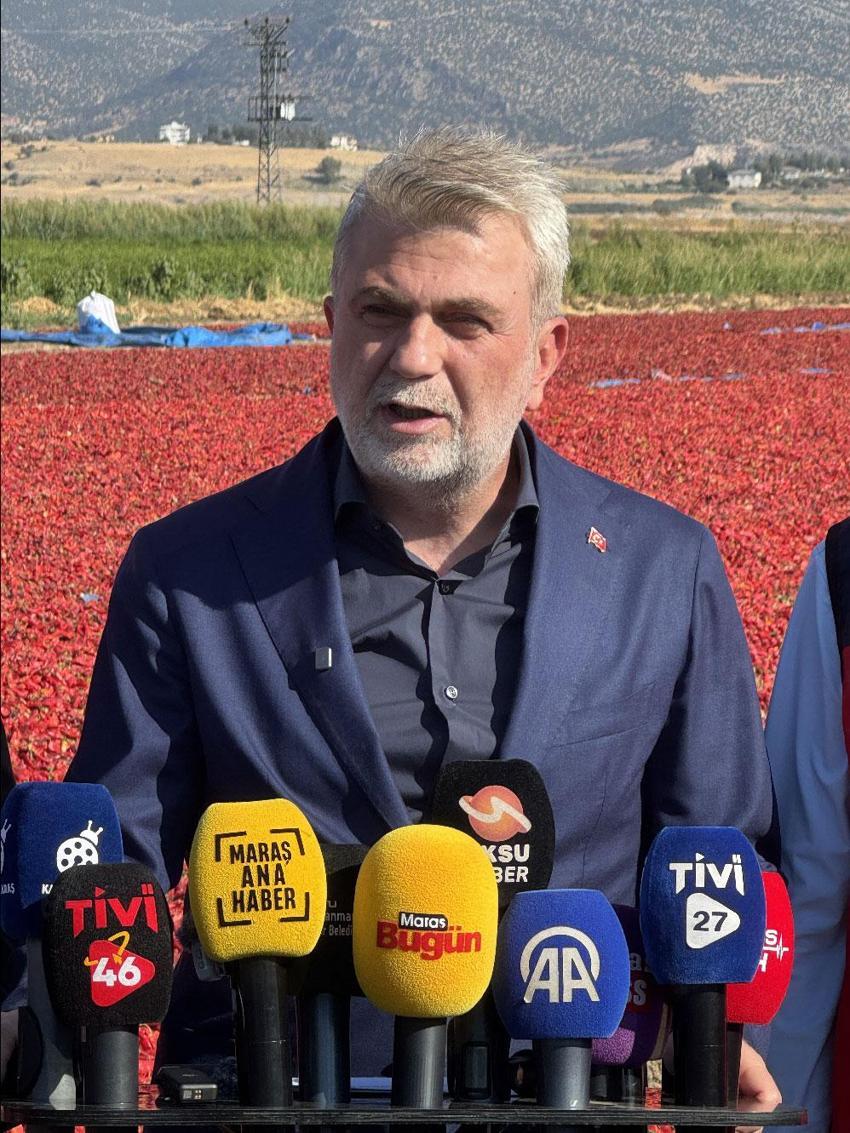 Kahramanmaraş'ta coğrafi işaret tescilli Maraş biberinin hasadına başlandı! 8 ülkeye ihraç ediliyor