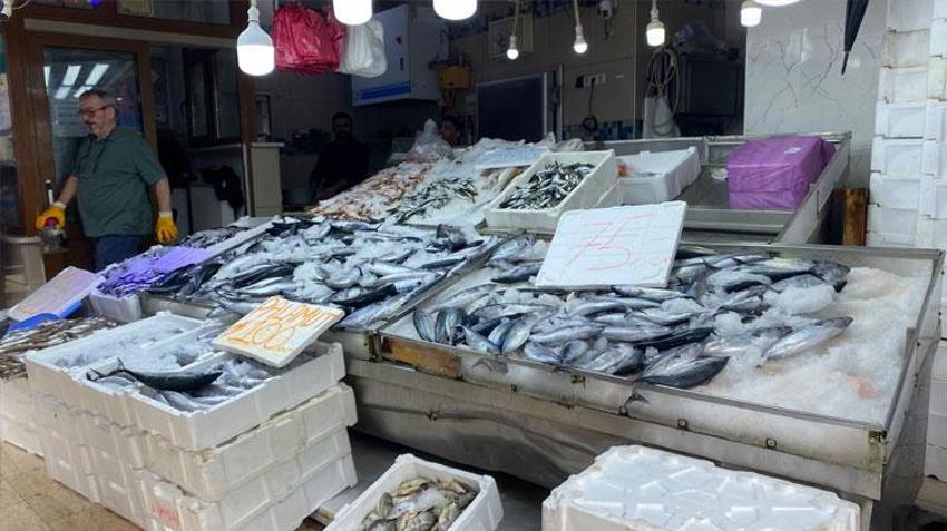 Sinop'ta balıkçılar ‘kestane karası’nı beklemeden tuzluyor