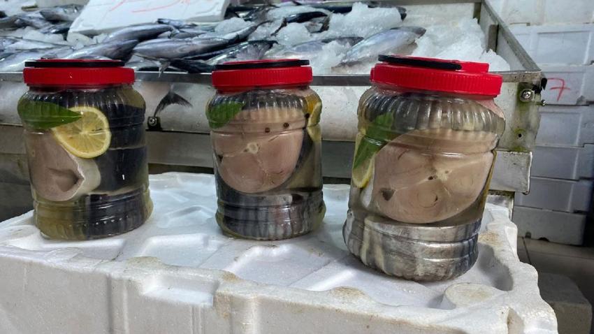 Sinop'ta balıkçılar ‘kestane karası’nı beklemeden tuzluyor