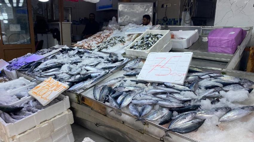 Sinop'ta balıkçılar ‘kestane karası’nı beklemeden tuzluyor