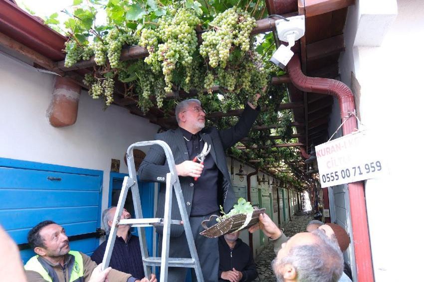 Dünyanın en dar arastasını süsleyen üzümler hasat edildi! Tarihi sokak yerli ve yabancı turistlerden büyük ilgi görüyor