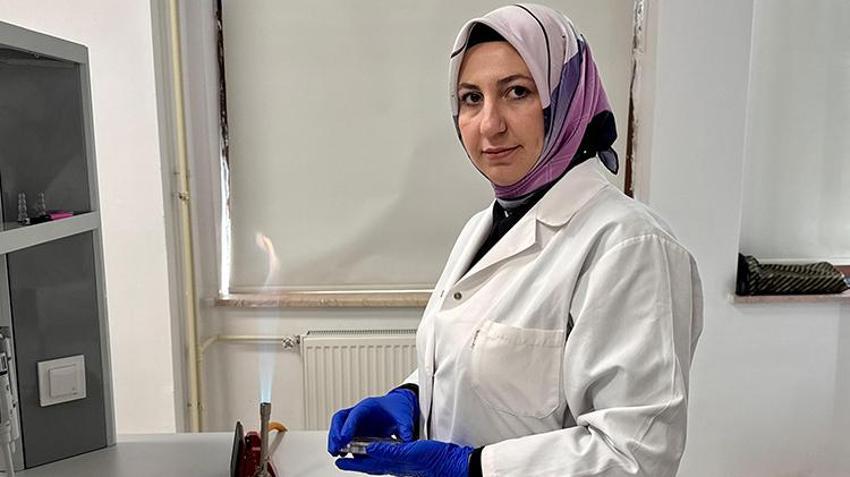 Doğadan toplanıyor, şifa olarak satılacak! 7,5 milyon TL'lik proje katma değer sağlayacak