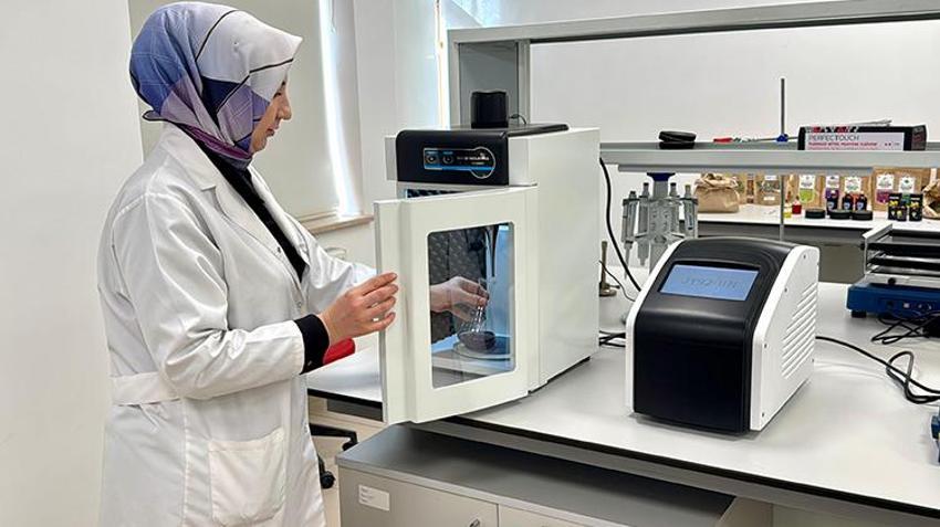 Doğadan toplanıyor, şifa olarak satılacak! 7,5 milyon TL'lik proje katma değer sağlayacak