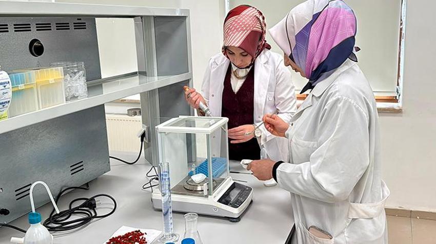 Doğadan toplanıyor, şifa olarak satılacak! 7,5 milyon TL'lik proje katma değer sağlayacak