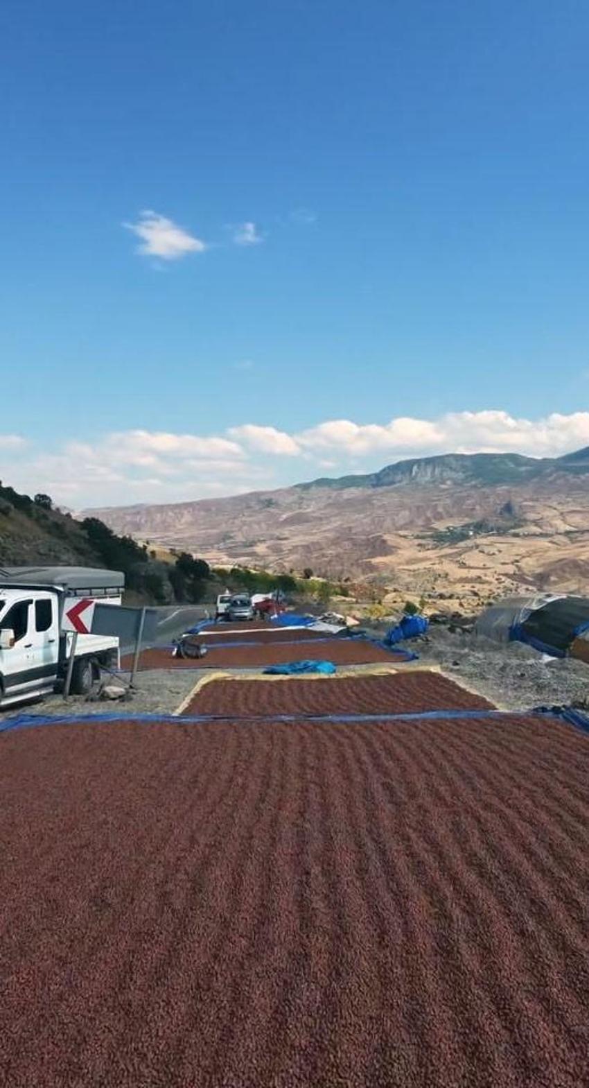 Giresun'da ilginç görüntüler! Sahilde güneş çıkmayınca çözümü böyle buldular