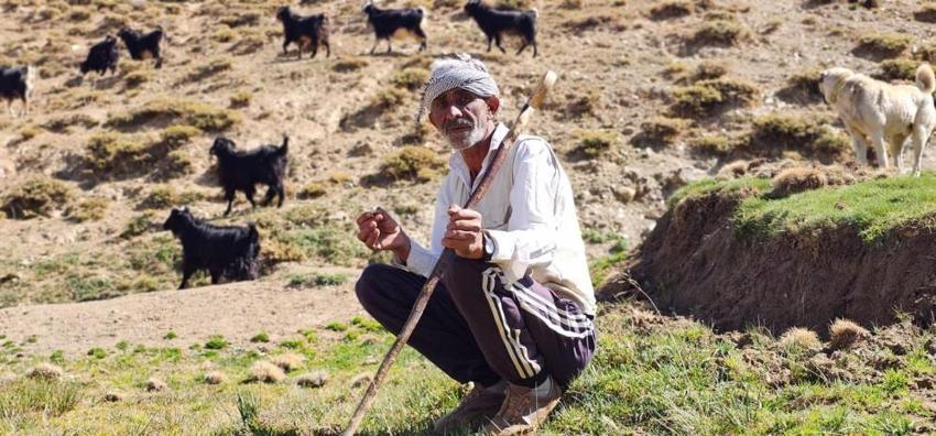 Bursa'daki geçim sıkıntısından kaçıp köyüne döndü: 2 bin 500 rakımda hayatını yeniden kurdu!