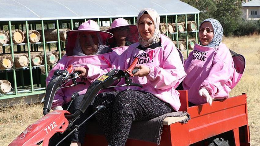 Artos Dağı'nın 'pembe maskeli' kadın arıcılarından rekor hasat: Kara kovan balında yüzler gülüyor!