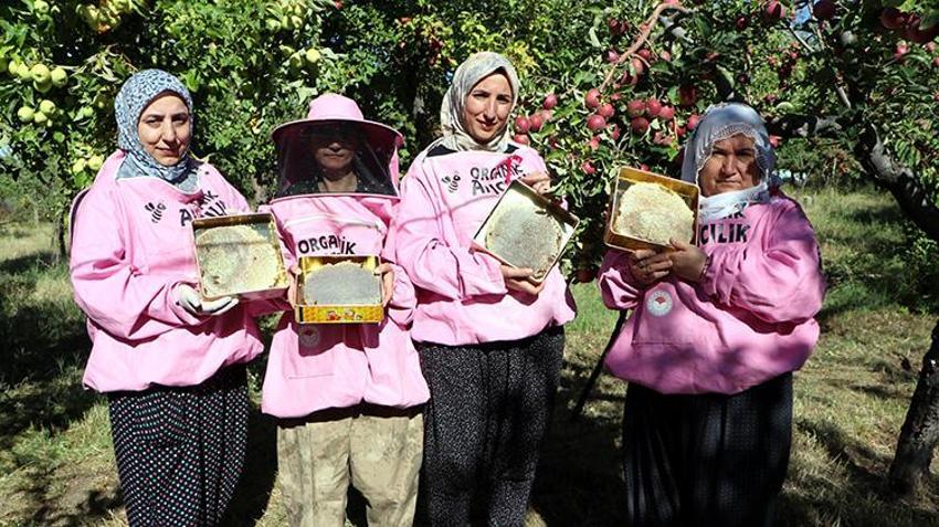 Artos Dağı'nın 'pembe maskeli' kadın arıcılarından rekor hasat: Kara kovan balında yüzler gülüyor!