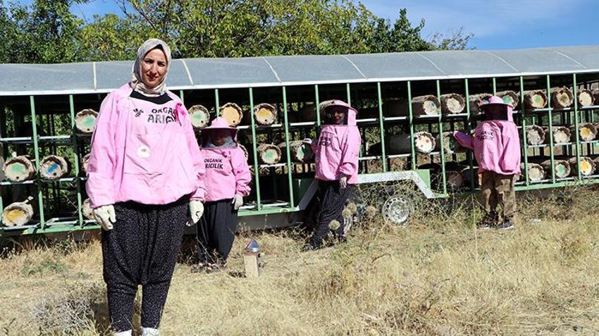 Artos Dağı'nın 'pembe maskeli' kadın arıcılarından rekor hasat: Kara kovan balında yüzler gülüyor!