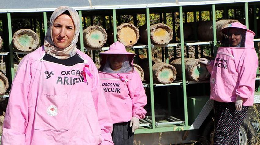 Artos Dağı'nın 'pembe maskeli' kadın arıcılarından rekor hasat: Kara kovan balında yüzler gülüyor!