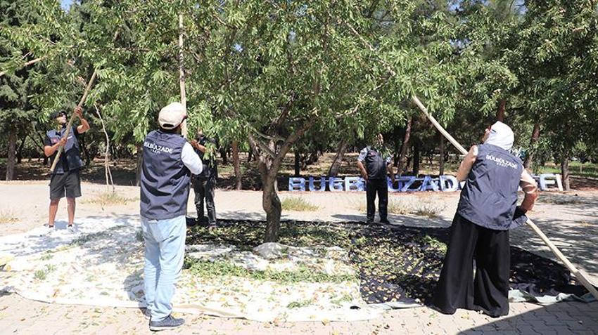 Gaziantep'te taşlık araziden cennete dönüştü: Dünyanın dört bir yanından geldiler! Orman vasfını yitirmiş alan, 7 bin fideyle verimli bir üretim merkezine dönüştü!
