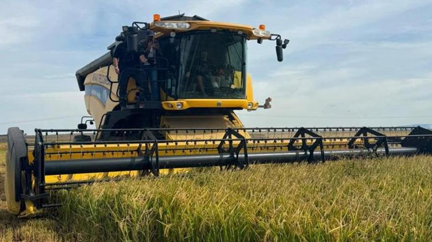 Edirne’de hasat başladı! Üreticinin gözü şimdi açıklanacak fiyatta