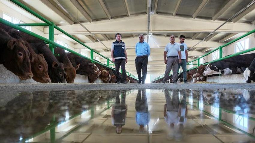 30 yıllık geleneksel besiciliğini devlet desteğiyle 350 baş kapasiteli modern tesise taşıdı