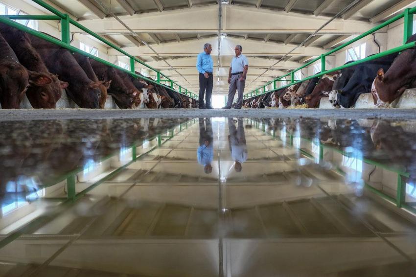 30 yıllık geleneksel besiciliğini devlet desteğiyle 350 baş kapasiteli modern tesise taşıdı