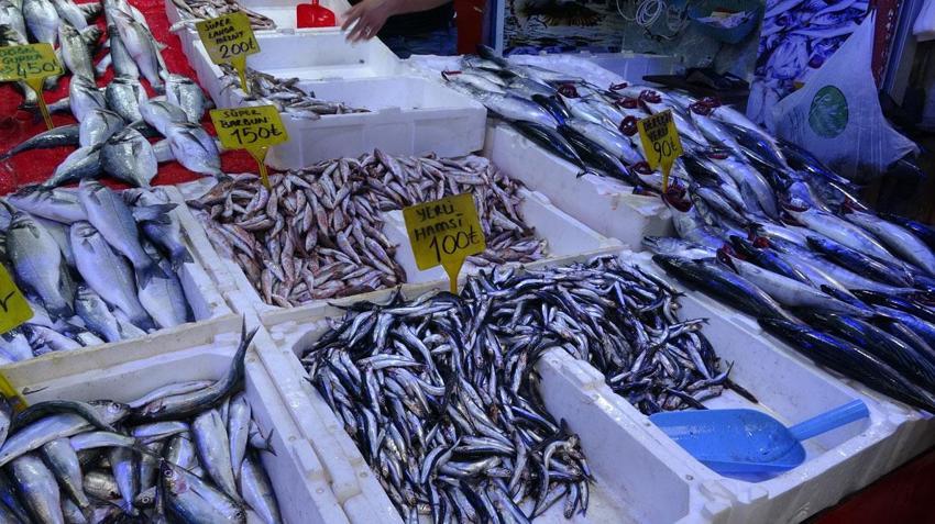 Palamut 90 TL'ye düşünce vatandaş balık tezgahlarına akın etti