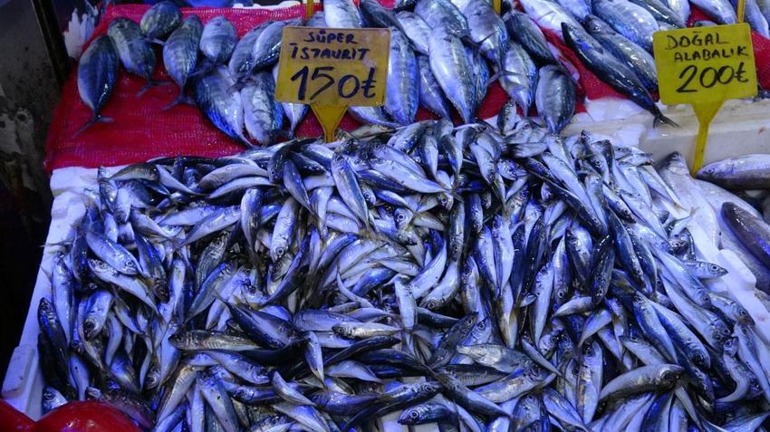Palamut 90 TL'ye düşünce vatandaş balık tezgahlarına akın etti