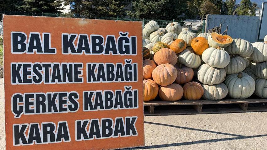 Düzce kabağının ünü ülke sınırları aştı! Aroması ve dayanıklılığıyla öne çıkıyor