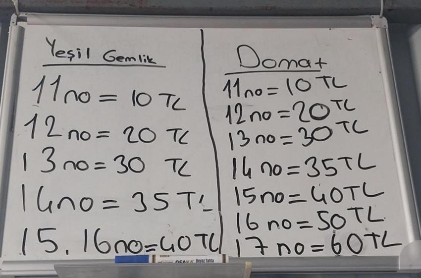 Mersin Mut'ta 13 milyon ağacın bulunduğu bahçelerde hasat başladı: Rekolte yüksek, fiyatlar 10 ile 60 TL arasında değişiyor!