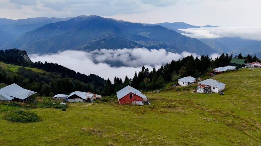 Gümüşhane'de bu kez Kürtün'de görüldü: 18 kilometre boyunca çevrelerini sardı