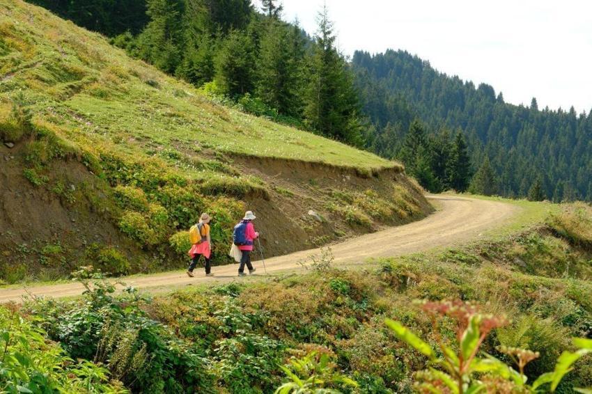 Gümüşhane'de bu kez Kürtün'de görüldü: 18 kilometre boyunca çevrelerini sardı