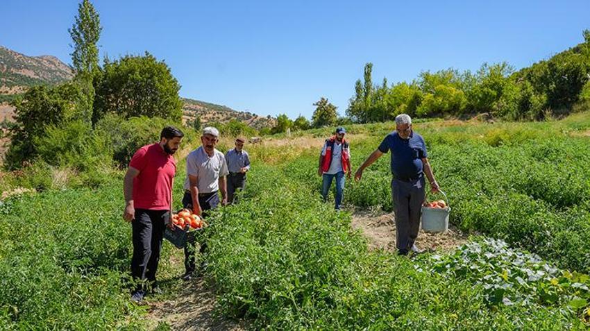 Diyarbakır'da altın gibi saklanıyor! Dağlardan gelen soğuk kaynak sularıyla beslenmesi gerek