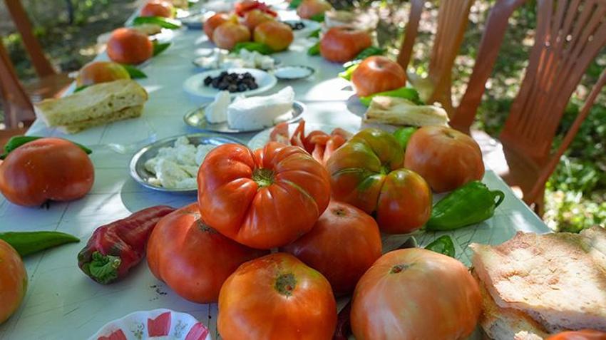 Diyarbakır'da altın gibi saklanıyor! Dağlardan gelen soğuk kaynak sularıyla beslenmesi gerek