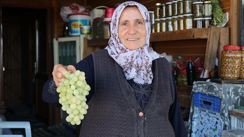 Tek bir damla su vermeden yetiştiriyorlar! Saatlerce kaynatıyorlar: Köylülerin geçim kapısı oldu